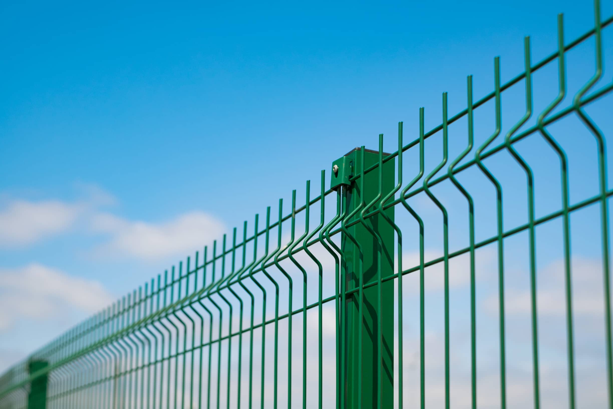 This image shows a green wire metal fence.